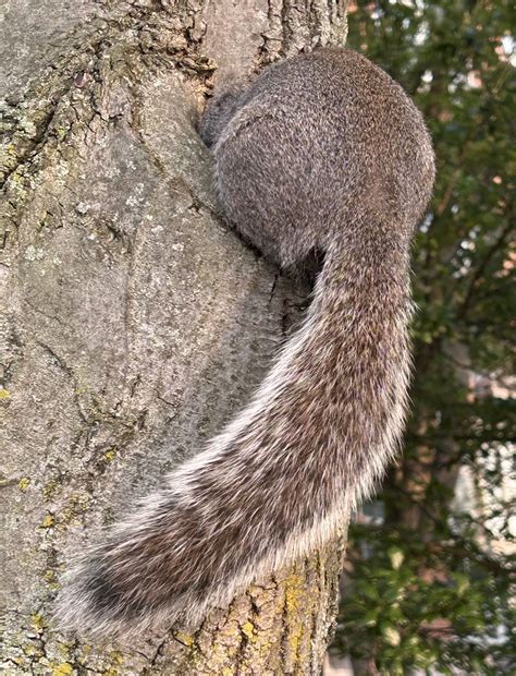 Naked Capitalism Finance Economics Politics Power Page Of