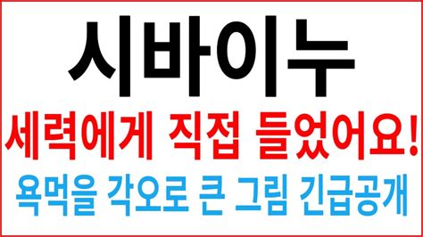 시바이누 코인전망 세력에게 직접 들었어요 욕먹을 각오로 큰 그림 긴급공개 Youtube