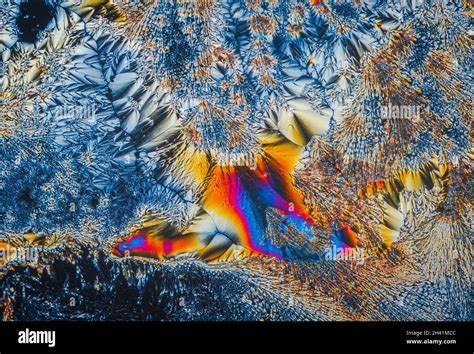 Extreme Macro Photograph Of Vitamin C Crystals Forming Abstract Modern