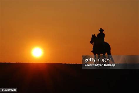 2,768 Horse Sunset Silhouette Stock Photos, High-Res Pictures, and ...