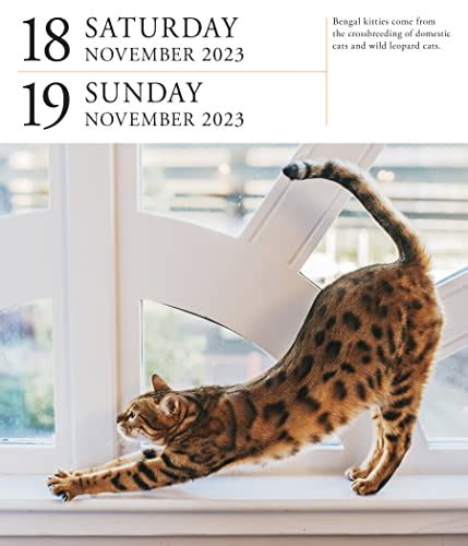 Cat Page A Day Gallery Calendar A Delightful Gallery Of Cats For