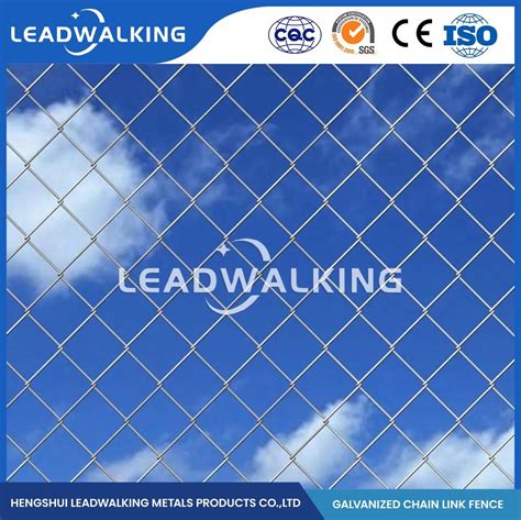 Leadwalking Galvanised Chain Wire Fencing OEM Custom PVC Coated Diamond