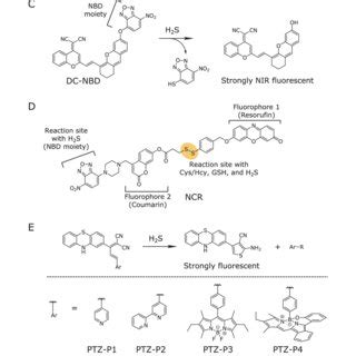 Established Fluorescent Probes For Sulfane Sulfur Chemical Structures