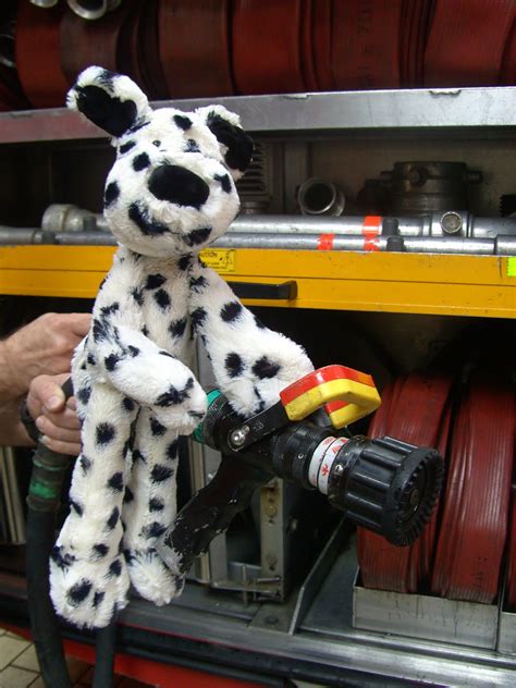 Dottie the Dalmatian: At the Fire Station