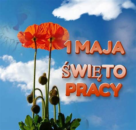 Gify Maja Wi To Pracy Gify I Obrazki Na Gifyagusi Pl