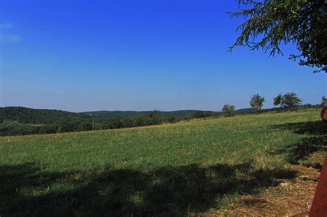 Jakobus Weite H Gel Wald Wiese Bernd Brang Flickr