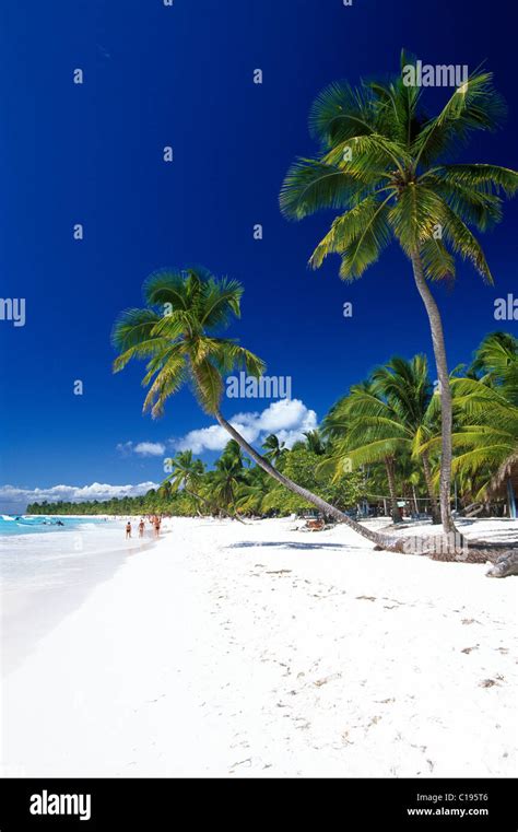 palm beach  saona island parque nacional del este dominican