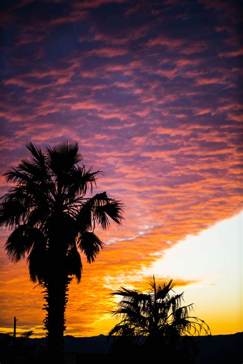 Sunset From My Backyard Rpics