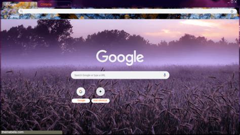 Misty Autumn Sunset Chrome Theme ThemeBeta