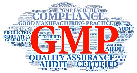 Who Gmp Certification In India Ias