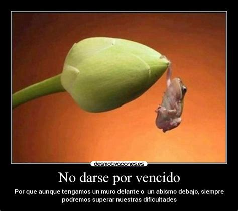 No Darse Por Vencido Desmotivaciones