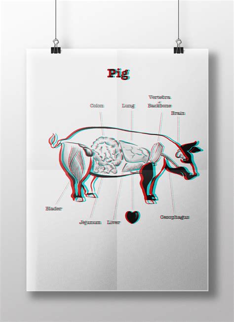 3D Anatomy :: Behance