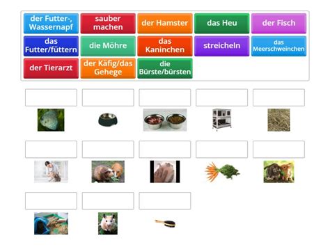 Menschen B1 1 Lektion 7 Wortschatz Match Up