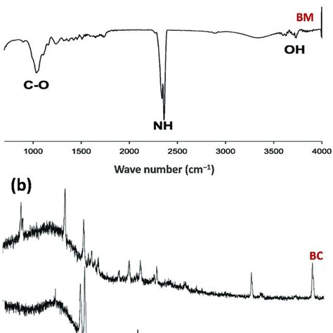 Fourier Transform Infrared Spectroscopy Patterns A And X Ray