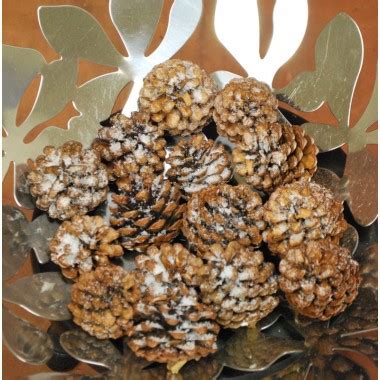 Large Slash Pine Cones - Natural