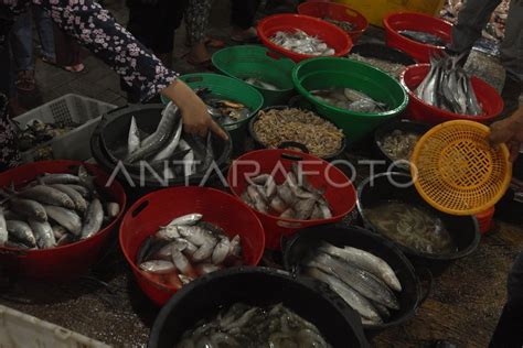 PASAR IKAN BALEKAMBANG SOLO KEMBALI BEROPERASI ANTARA Foto