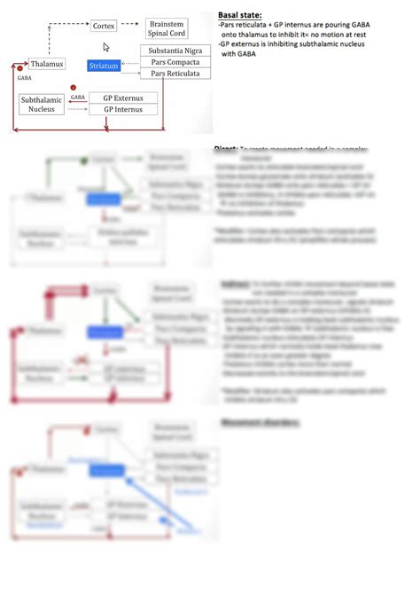 Solution Basal Ganglia Pathways Studypool