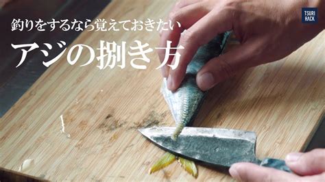 『アジのさばき方』 基本の三枚おろし編 超簡単！誰でもできる魚の捌き方 Youtube