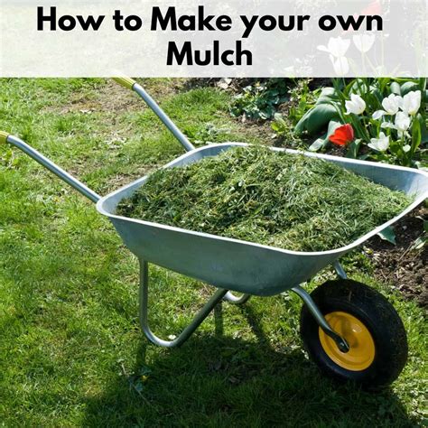 How To Make Mulch From Material You Can Get For Free Together Time