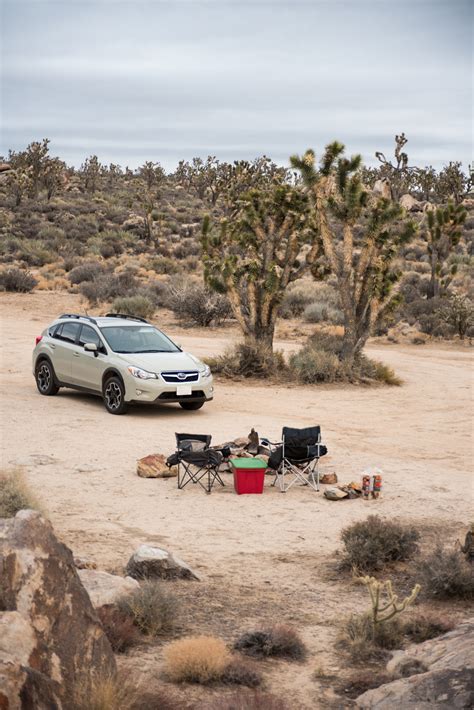 Backcountry Camping in Mojave National Preserve — Wandering Always