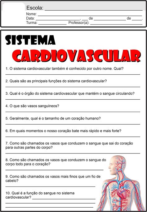 Atividade Sobre O Sistema Cardiovascular Artofit