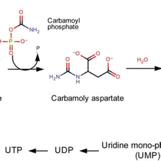 Scheme Synthesis Of Pyrido Thieno D Pyrimidines A