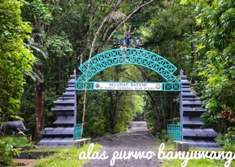 Bangkrut Kemudian Ditinggalkan Tempat Wisata Ini Malah Jadi