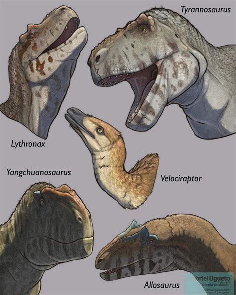 Carnotaurus fact sheet scientific dinosaur data sheet – Artofit