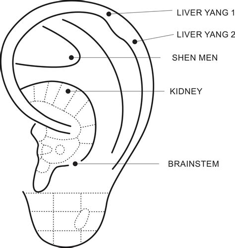 Acupuncture Points for Anxiety in Montpelier and Williston, Vermont