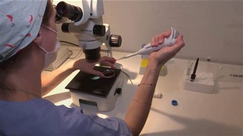 Va To Cover Ivf Treatment For Single Veterans Same Sex Couples Newsonline