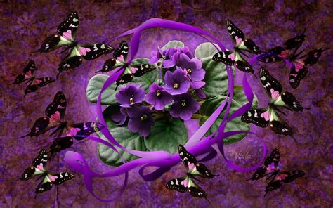 1920x1080px, 1080P free download | Violets and Butterflies, Viola ...