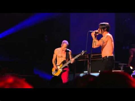 Red Hot Chili Peppers Annie Wants A Baby Live Cologne Alemanha Germany Youtube