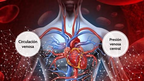 CIRCULACIÓN VENOSA Y PRESIÓN VENOSA CENTRAL by FABRICIO GSUS ALAYO