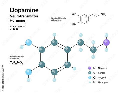 Dopamine Hormone Neurotransmitter Structural Chemical Molecular