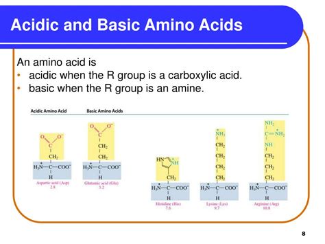 Ppt Chapter 16 Amino Acids Proteins And Enzymes Powerpoint Presentation Id2968688