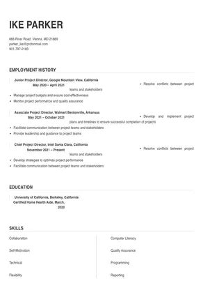 Project Director Resume Sample & Tips | Online Resume Builder