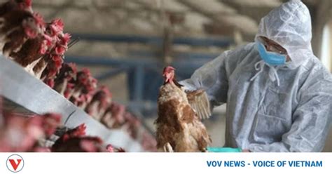 Vietnam Detects First Human Case Infected With Avian Influenza Subtype H9