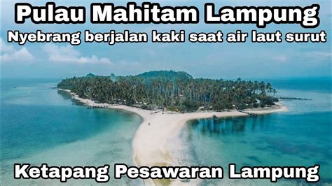 Pulau Mahitam Lampung Nyebrang Berjalan Kaki Saat Pantai Surut