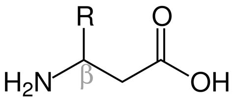 Difference Between Alpha and Beta Amino Acid | Compare the Difference ...