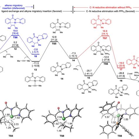 Mechanisms Of The Cc And Cn Bond Formation Steps From The