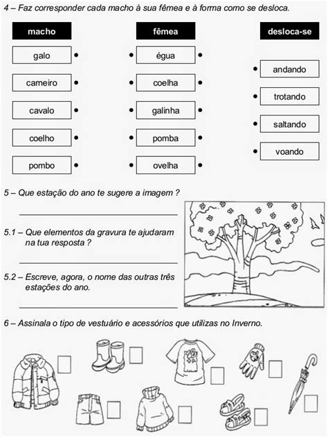 Fichas de Avaliação Mensal Estudo do Meio do 2º Ano