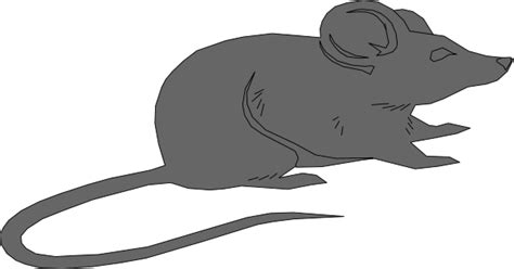 Grey Mouse Clip Art at Clker.com - vector clip art online, royalty free ...