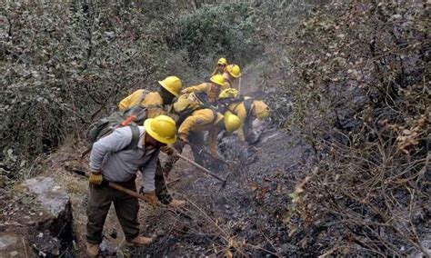 Incendios Forestales Activos Aumentan A Edomex Chiapas Y