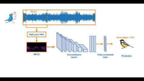 Sound Based Bird Classification Sound Recognition Bird Noise