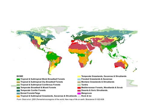 Biomes - biomes