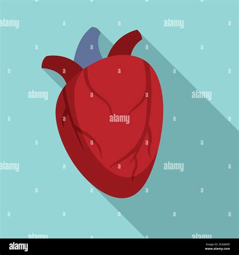 Cardiac Human Heart Icon Flat Illustration Of Cardiac Human Heart