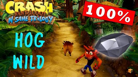 Hog Wild 100 Crash Bandicoot N Sane Trilogy PS4 100