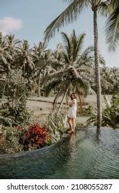 Jungle Bikini Images Stock Photos Vectors Shutterstock