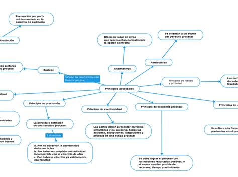 Principios Procesales Mind Map