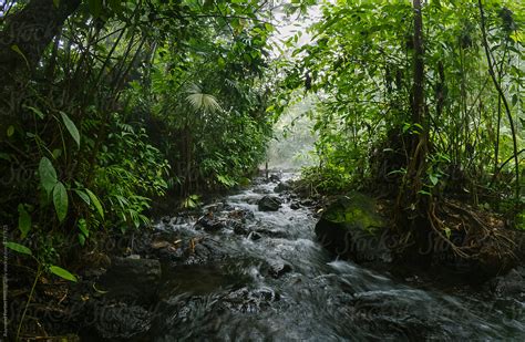 Natural Volcanic Natural Hots Springs Stream In Costa Rica By Stocksy